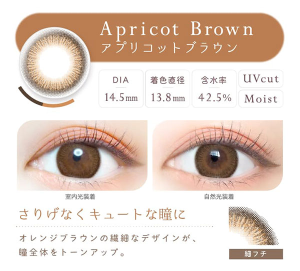 新木優子さんが新たにイメージモデルになった、エバーカラーワンデー ナチュラル「アプリコットブラウン」の説明画像。さりげなくキュートな瞳に。オレンジブラウンの繊細なデザインが、瞳全体をトーンアップ。着色直径13.8mm、含水率42.5%